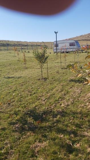 Teren agricol extravilan de 1000 mp, în Florești