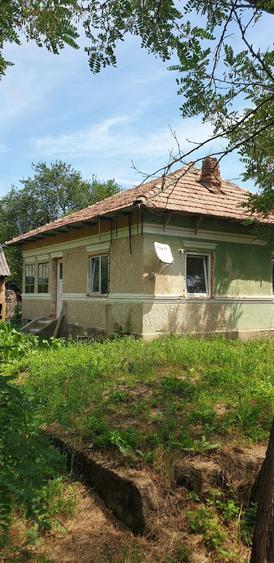 Casă cu 3 camere cu Teren 5513 Mp în Bratia din Deal