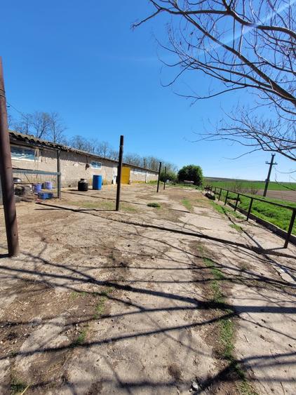 Teren Construcții intravilan de 10680 mp, în Pietreni