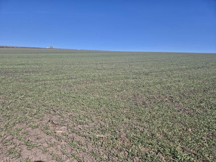Teren intravilan de 6000 mp, în Șcheia