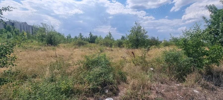 Teren de 21000 mp, în Bradu