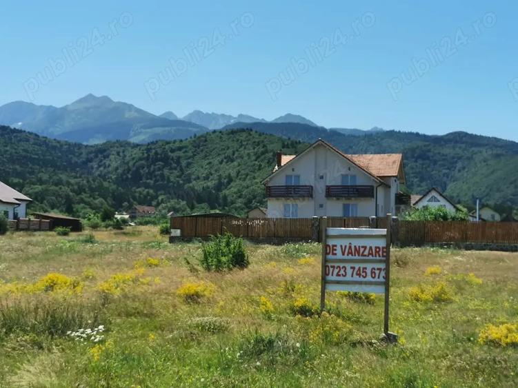 Teren de 1000 mp, în Sâmbăta de Sus