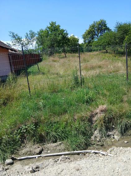 Teren de 2652 mp, în Scoreiu