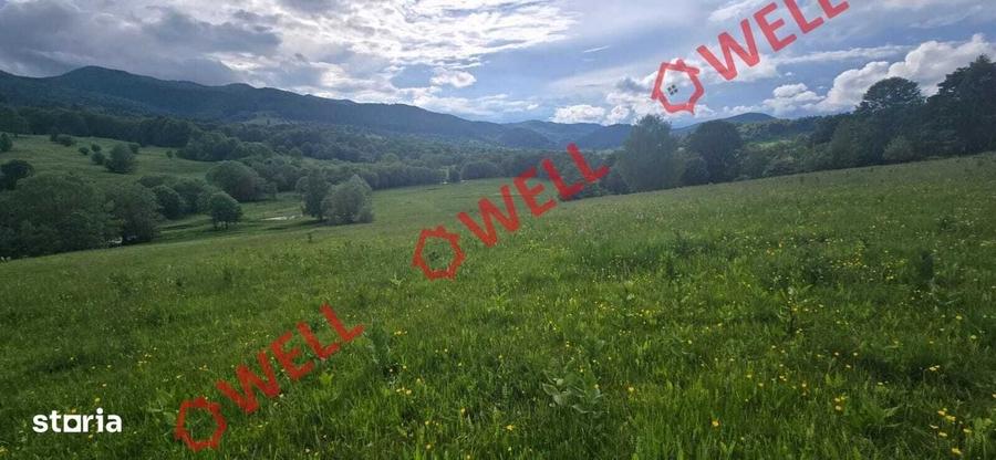 Spațiu comercial, în Vama Buzăului