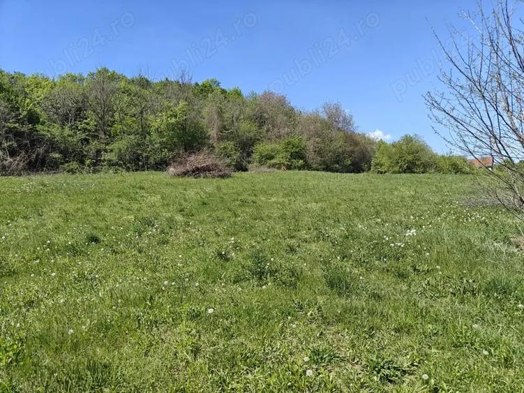 Teren intravilan 1400 m2 in Curteni, Santana de Mure? - la doar 10 minute de centrul Targu Mures - 4