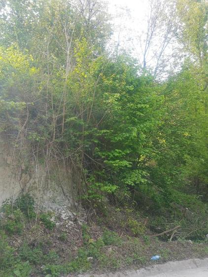 Teren de 2200 mp, în Vlădești