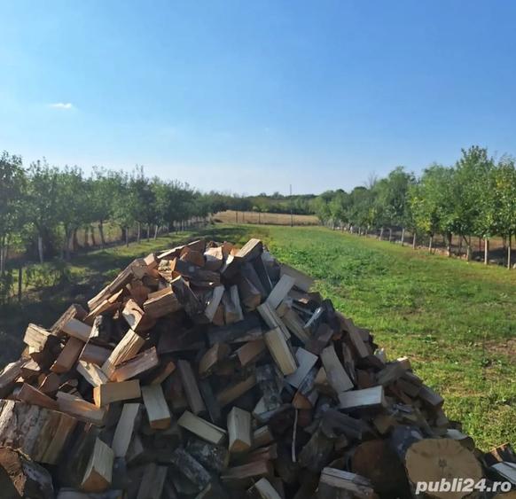 Casă cu 5 camere cu Teren 1600 Mp în Petroasa Mare