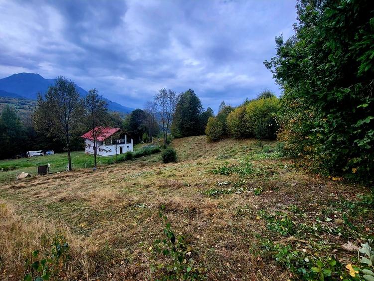 Teren de 2400 mp, în Borșa