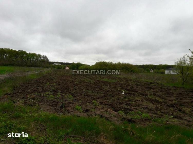 SNAGOV SAT - Teren- 2410m2 - Toate utilitatile - Zona de Vile - 7