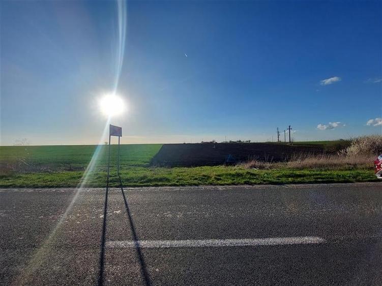 Teren agricol extravilan de 10000 mp, în Fântânele