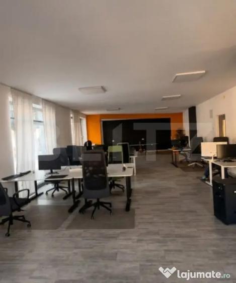 Spațiu comercial, de 332 mp, în Horea