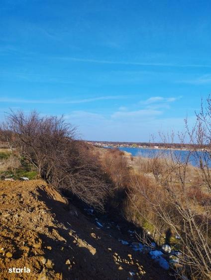 Teren de 1169 mp, în Cernica