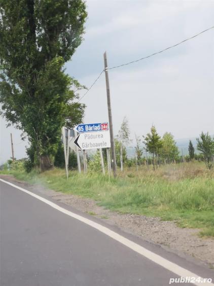 Teren de 5000 mp, în Central