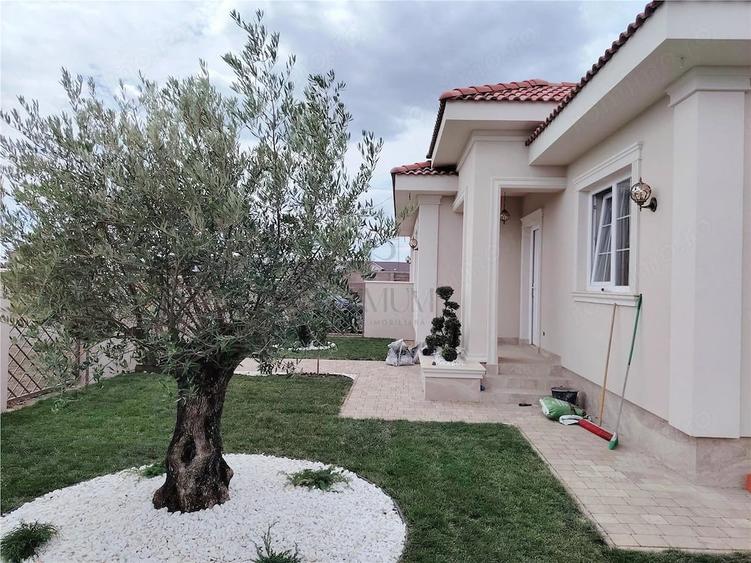 Casă cu Teren 550 Mp în Moșnița Veche