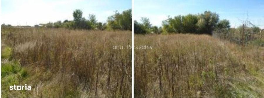 Teren Branceni, ID: R2942560
