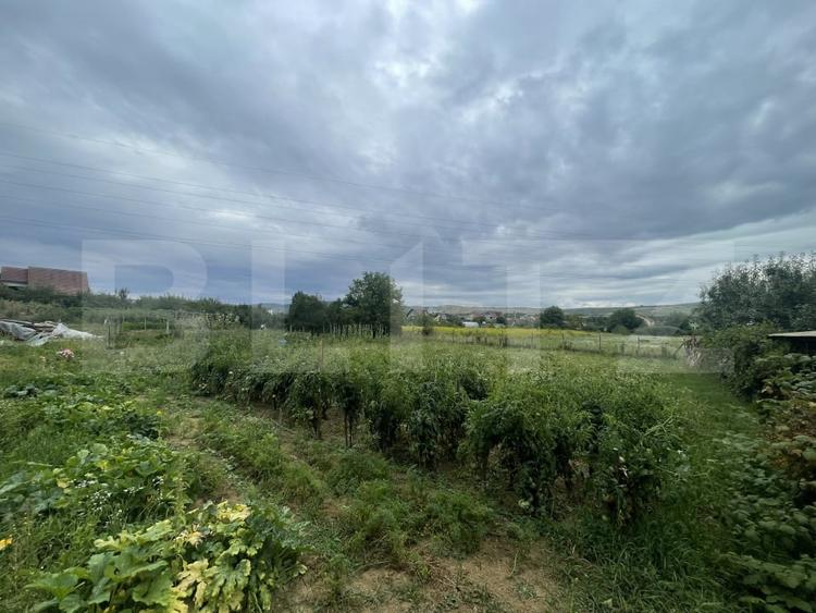 Teren Construcții intravilan de 1000 mp, în Viișoara