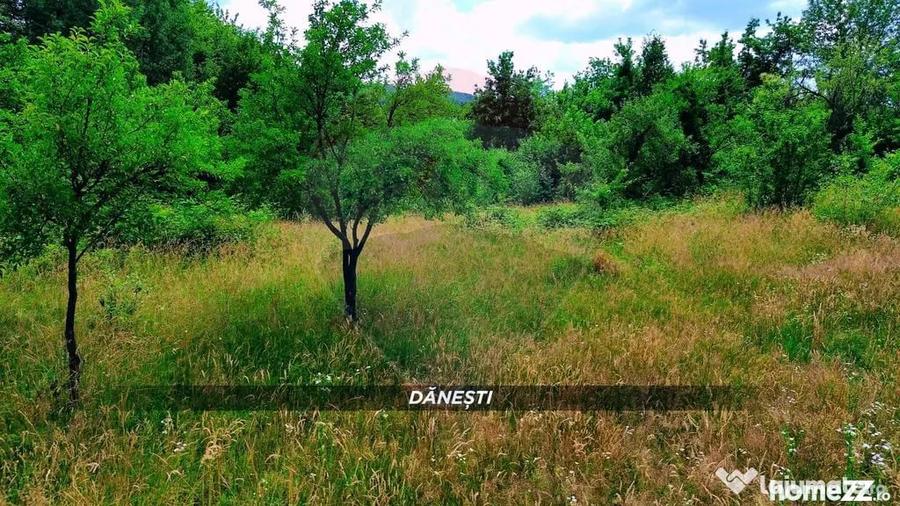 Teren intravilan 6115mp | Danesti, Maramures | Oportunita... - 2