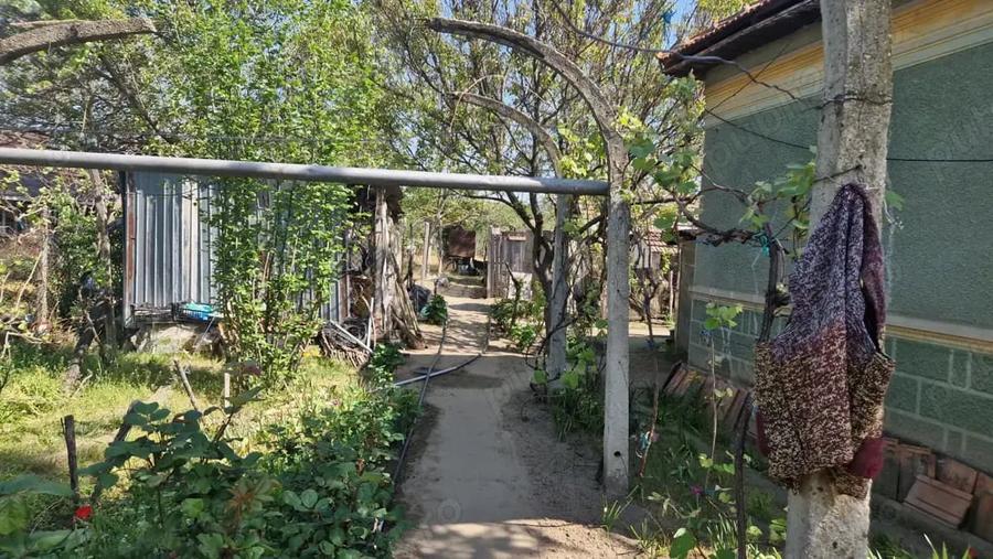 Casă cu 5 camere cu Teren 3937 Mp în Ianca