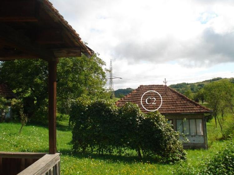 Teren agricol intravilan de 8644 mp, în Valea Bradului