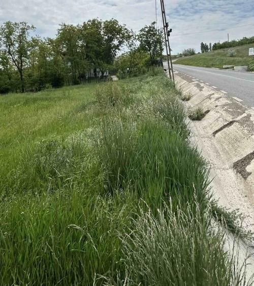 Teren agricol intravilan de 834 mp, în Central