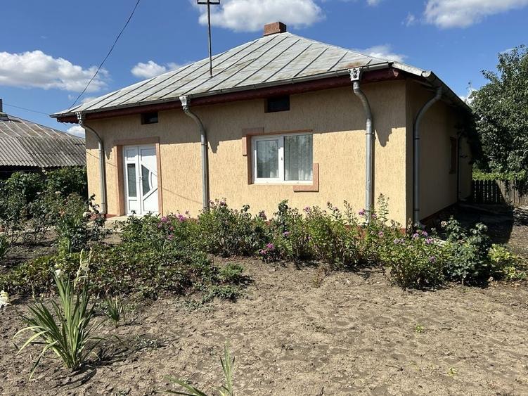 Casă cu 4 camere în Colibași