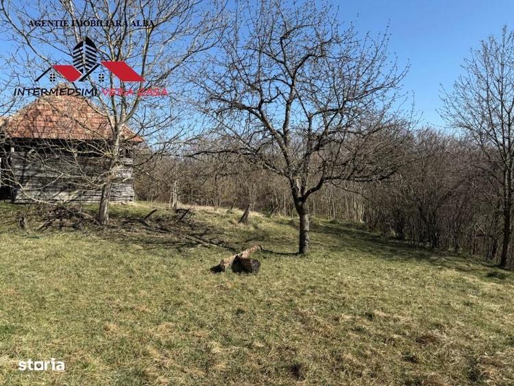 Casa si anexe cu un teren de 7701 mp de vanzare in Stauini Jud Alba - 4