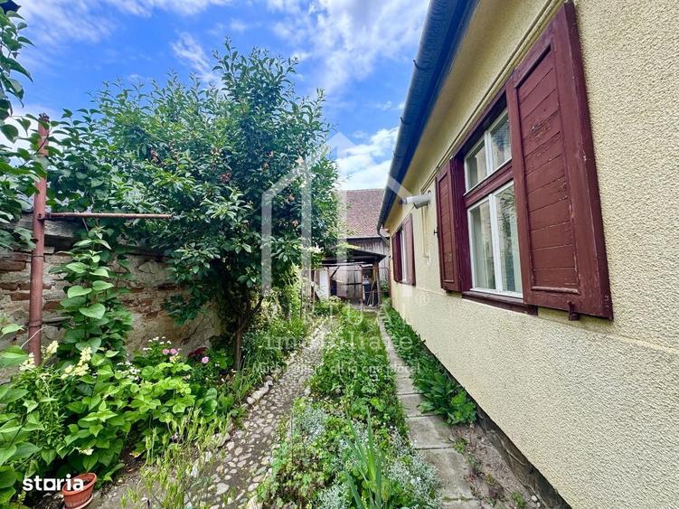 Casa individuala, 2 camere, sura 100mp, 290mp teren, Turnisor - 3