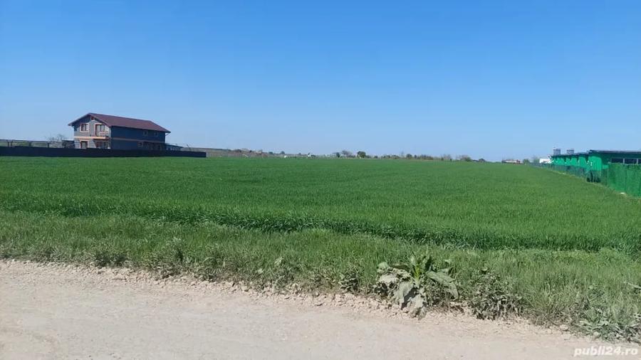 Teren de 5000 mp, în Schitu