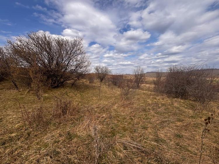 Teren Construcții extravilan de 3500 mp, în Nord-Vest