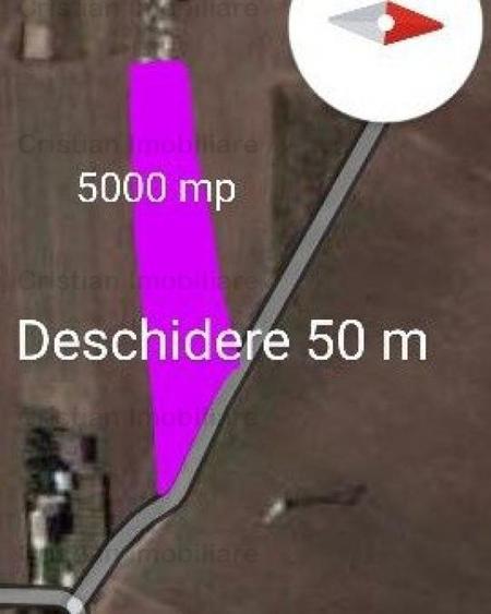 Teren intravilan de 5000 mp, în Cazasu