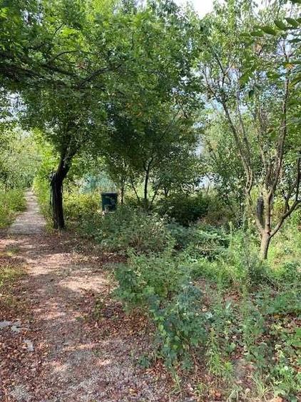 Casă cu 1 camere cu Teren 1915 Mp în Mitreni
