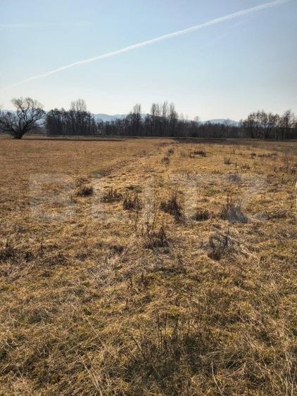 Teren agricol extravilan de 4000 mp, în Exterior Est
