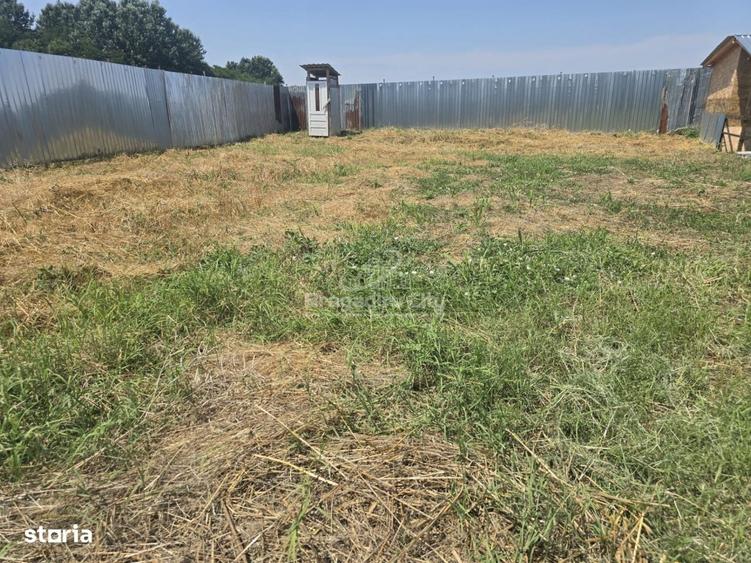 Teren ingradit gaz si curent in fata lui Domnesti Teghes - 6