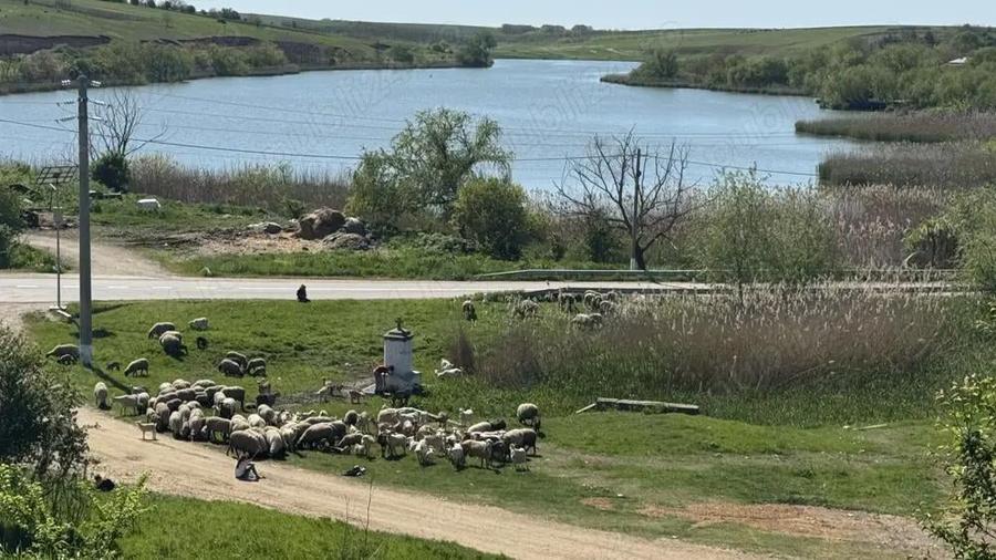 teren intravilan curti constructii 2500mp, langa balta de pescuit sportiv - 1