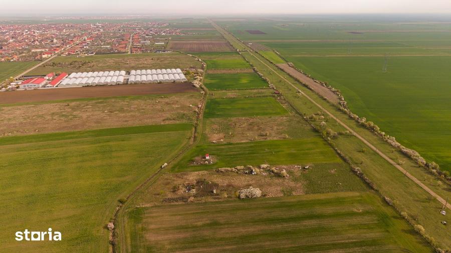 Teren de 6150 mp, în Livada