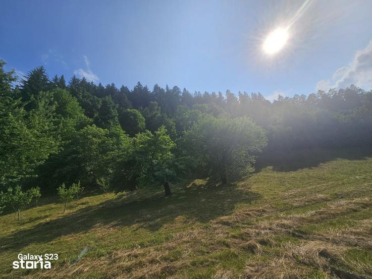 Teren de 1000 mp, în Alexandru cel Bun