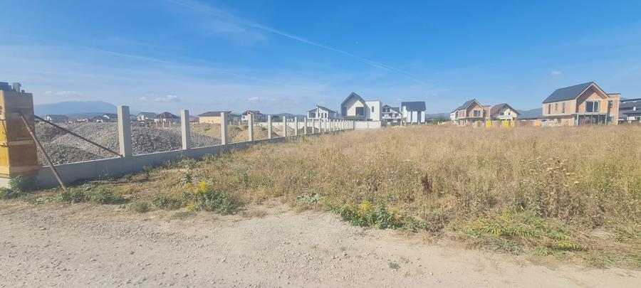 Teren Construcții intravilan de 1000 mp, în Cristian