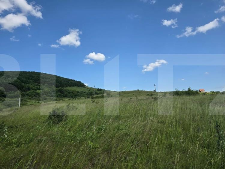 Teren de investitie in localitatea Ciurila - 4