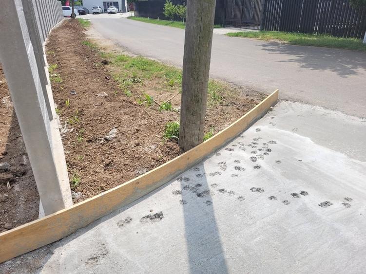 Teren Construcții intravilan de 800 mp, în Periș