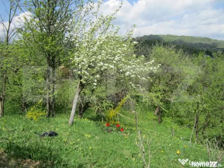 Teren de vanzare, 884 mp, zona Runcu - 1