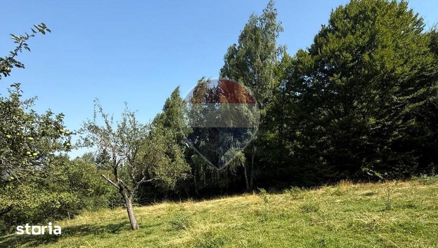 Teren de 2700 mp, în Bran