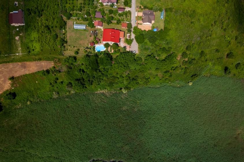 Teren Construcții intravilan de 5509 mp, în Periș