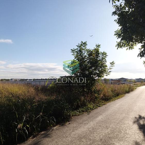 Teren Construcții intravilan de 28074 mp, în Vest