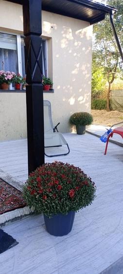 Casă cu 2 camere în Dumbrăveni