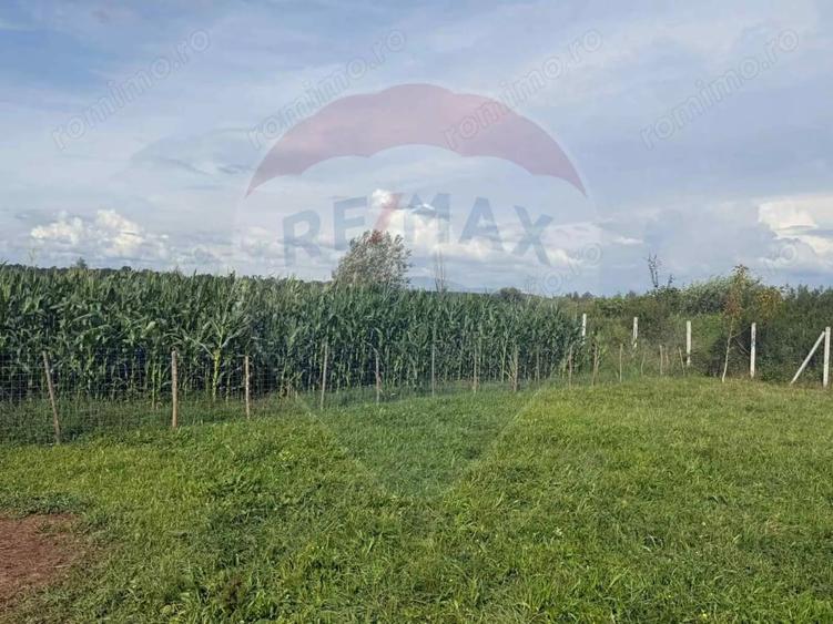 Teren de 4135 mp, în Sarasău