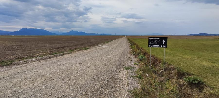 Teren agricol extravilan de 10000 mp, în Cărpiniș