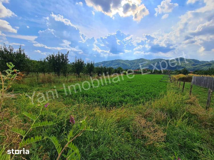 Teren de 2619 mp, în Corbeni