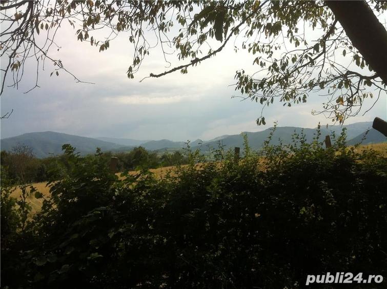 Teren de 3200 mp, în Rășinari