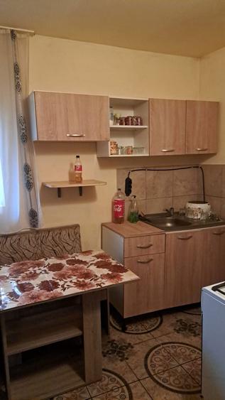 Casa la munte cu parau in curte,in localitatea Nojag.la 18 km.de DEVA - 4
