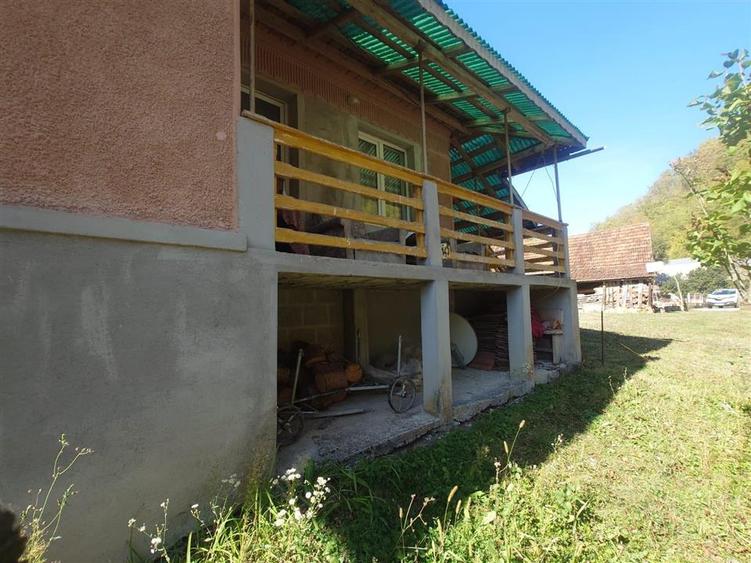 Casă individuală cu 4 camere cu Teren 7650 Mp în Mihăileni